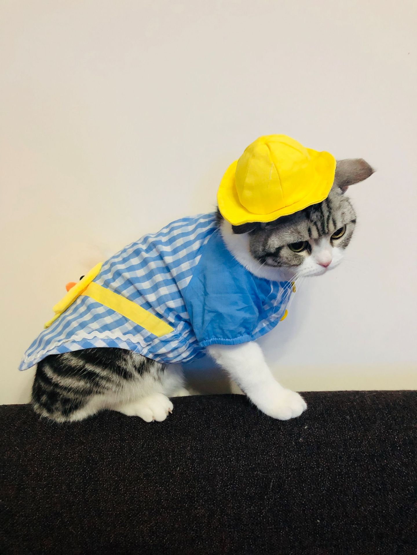 微信图片_20190328111551