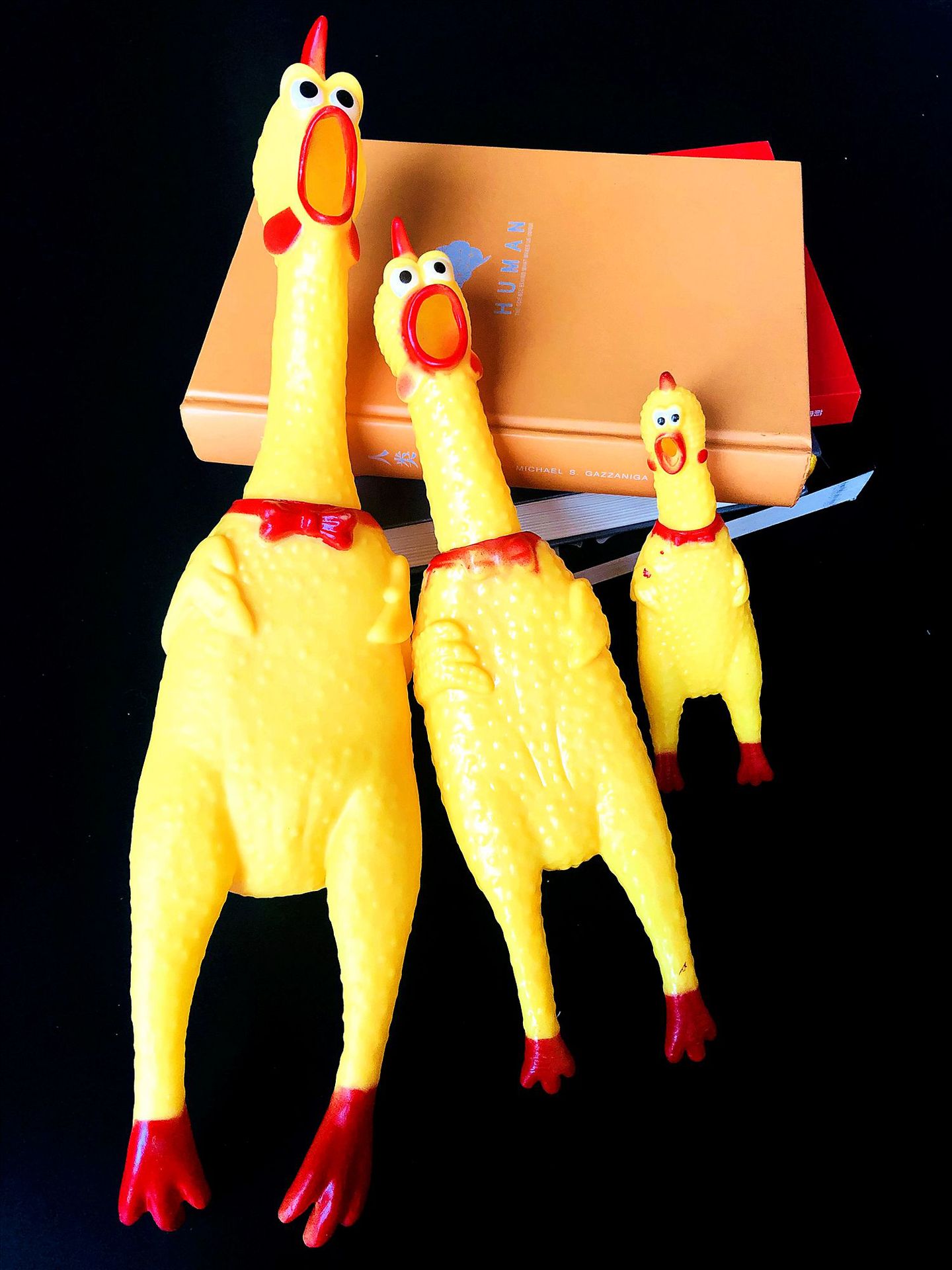 D0F07BE7EE6C10E35A3ADFF840AD98