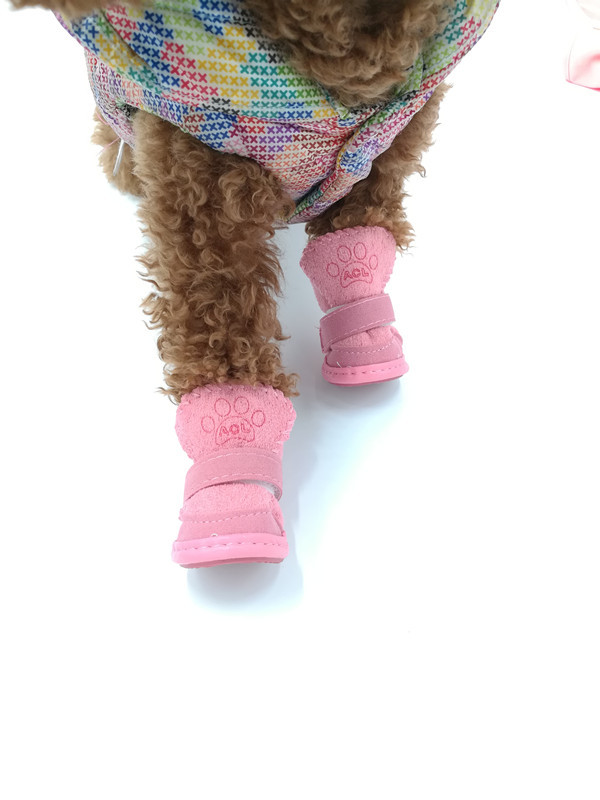 QQ图片20170228145744_副本