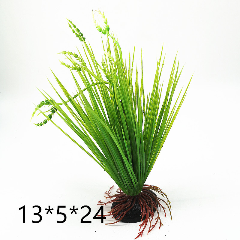 IMG_20190701_162419_副本