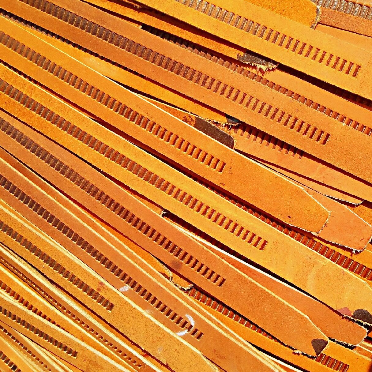 QQ图片20190310194456