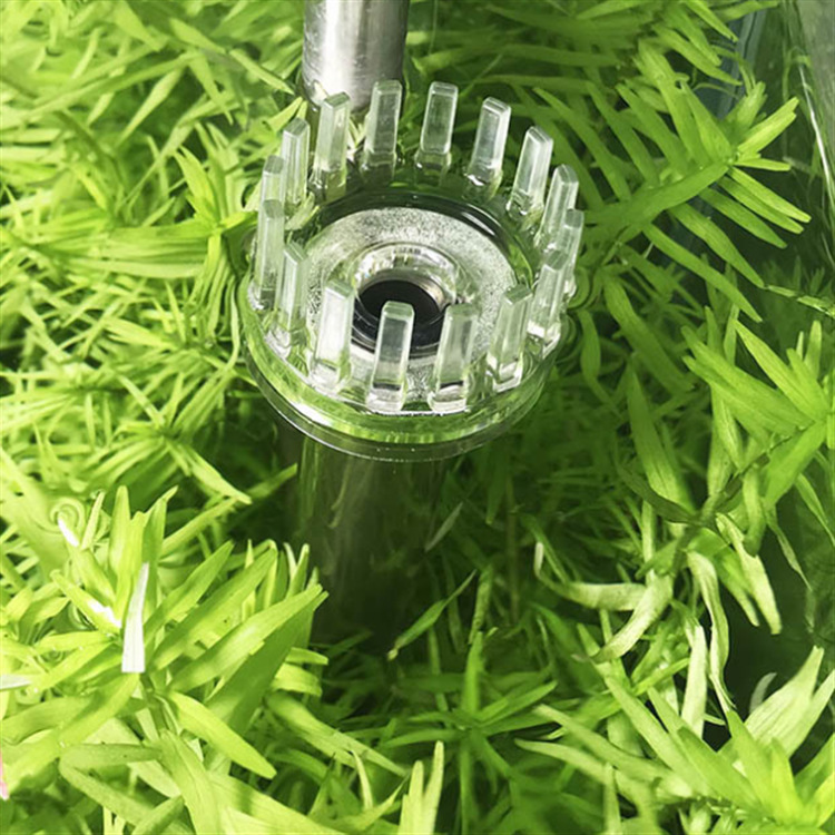 QQ图片20190730183745_副本