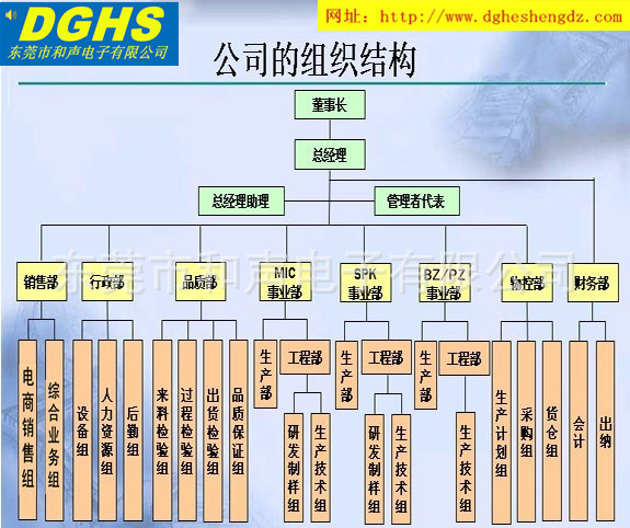 和声电子公司组织结构