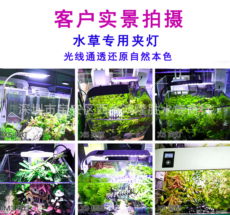 QQ截图20191021233403.jpg