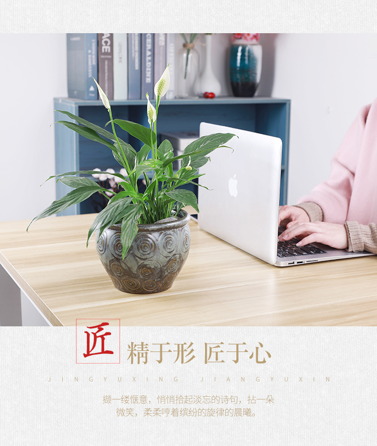 花盆2_08.jpg