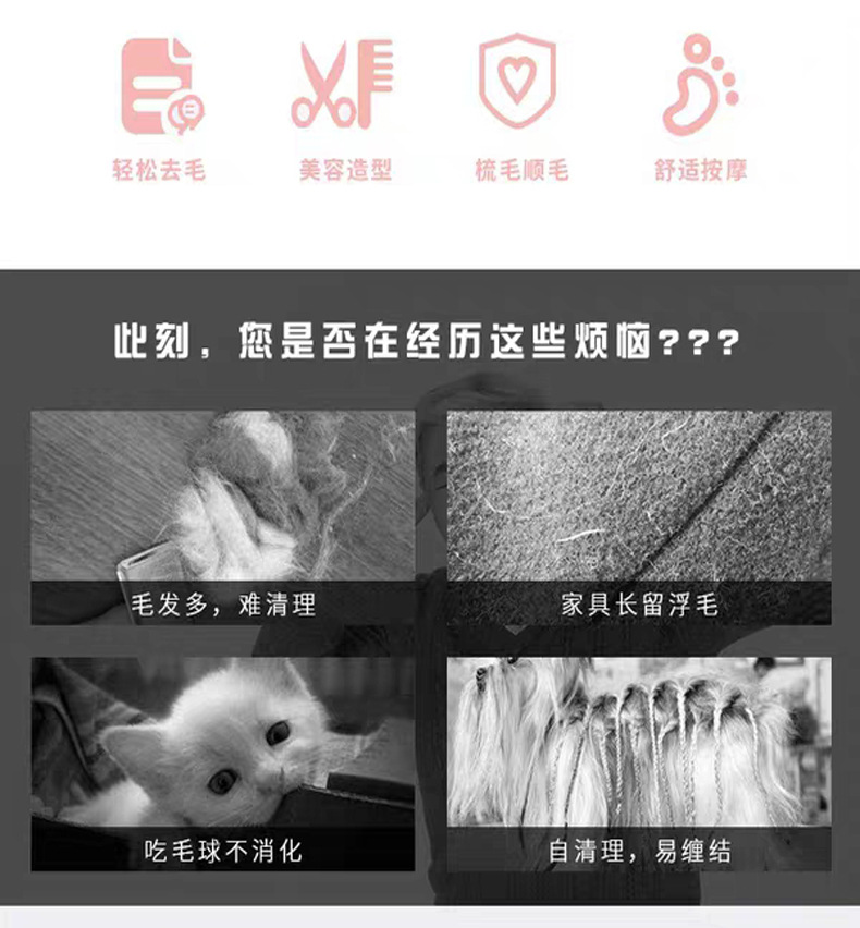 脱毛梳子狗狗.jpg