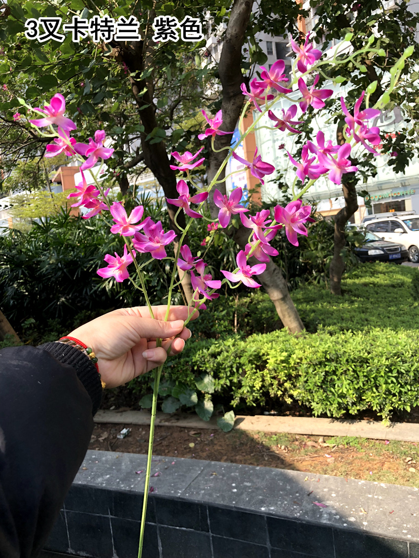 微信图片_20190319162421