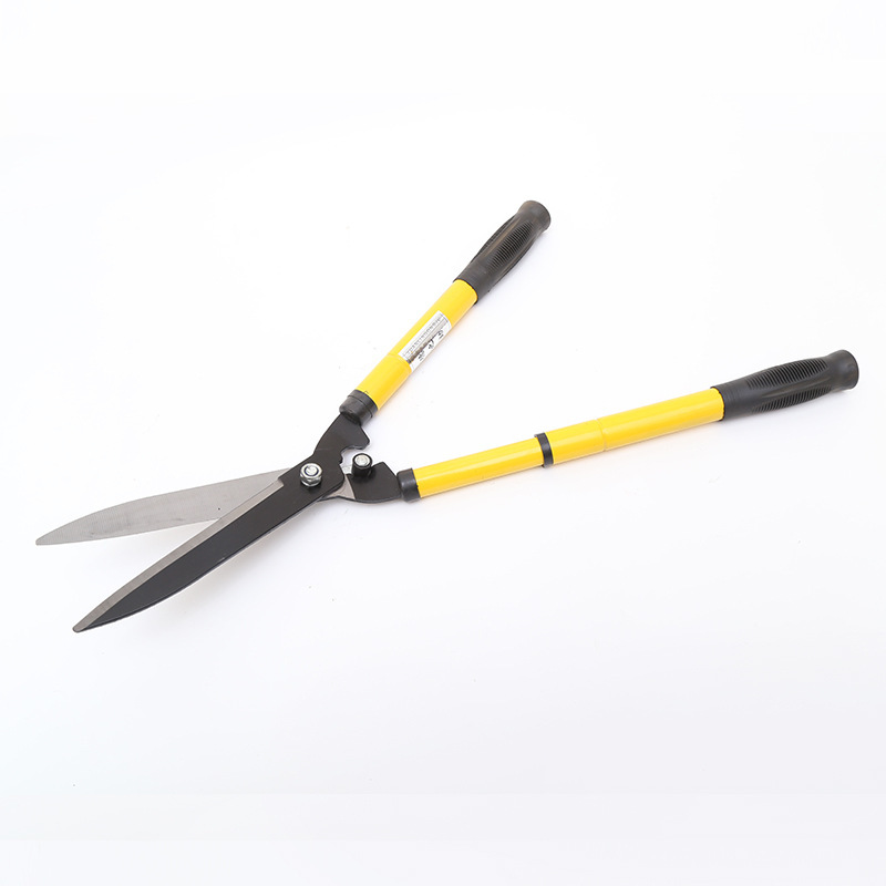 3759185185_1578675911