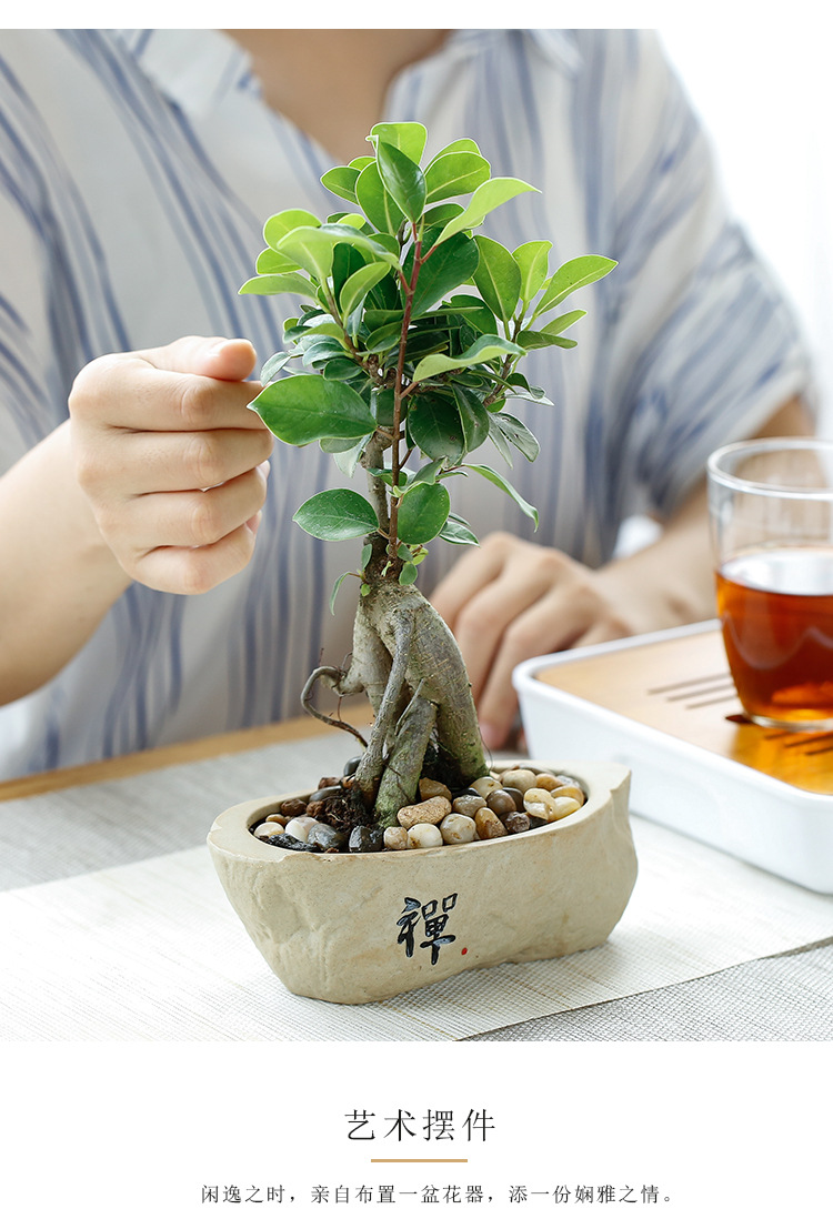 粗陶花盆_09.jpg