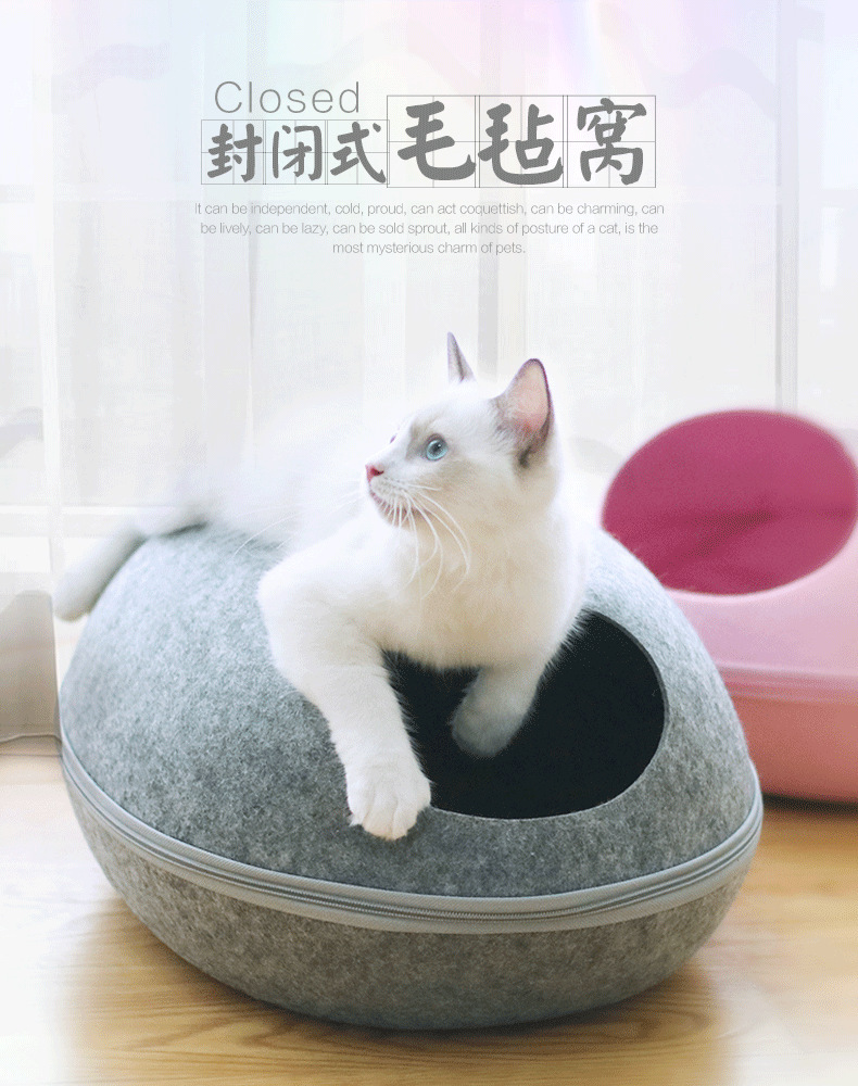 10184291108_1997453582