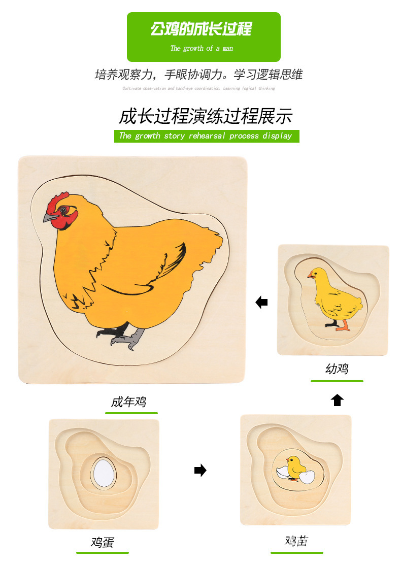 4383438680_1741587501 (1).jpg