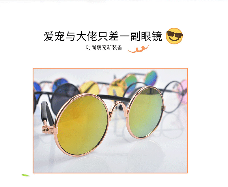 宠物眼镜详情图_02.png