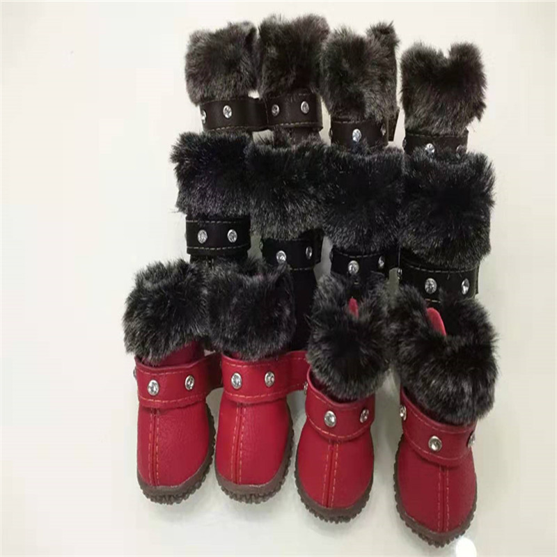 微信图片_20191105200343_副本