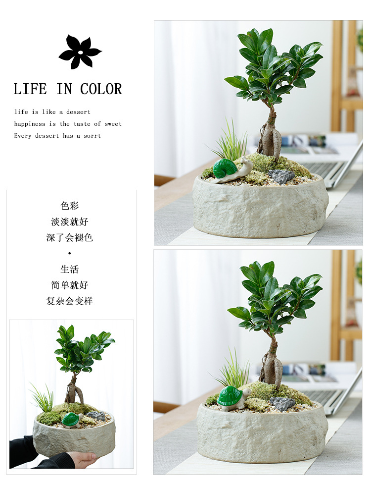 粗陶花盆4_02.jpg