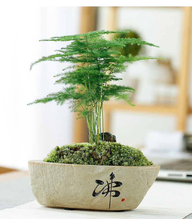 粗陶花盆_13.jpg