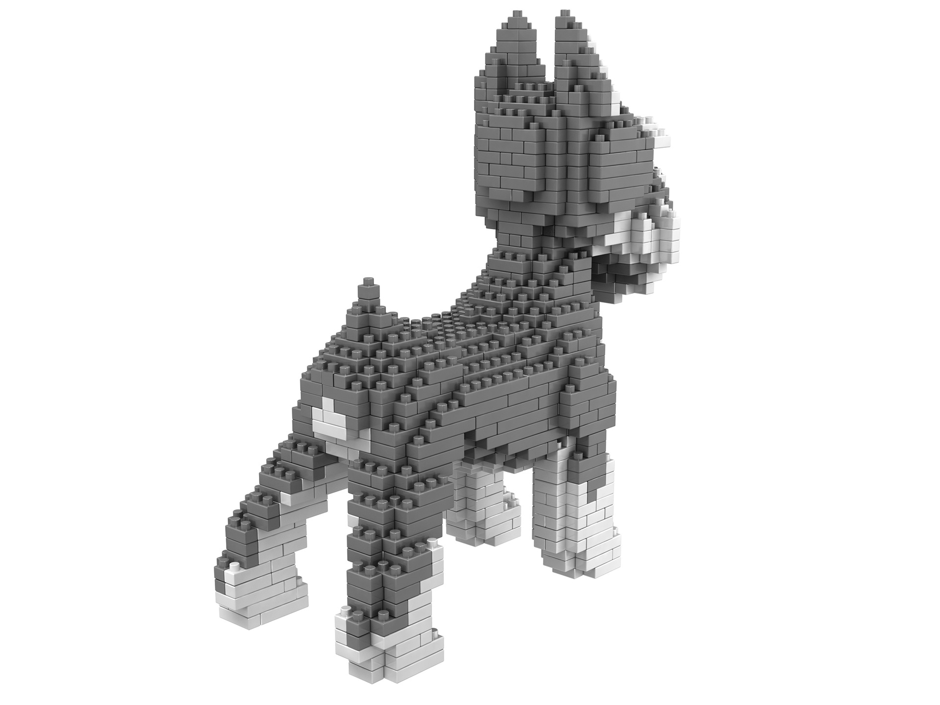 狗 2 3-1 副本.jpg