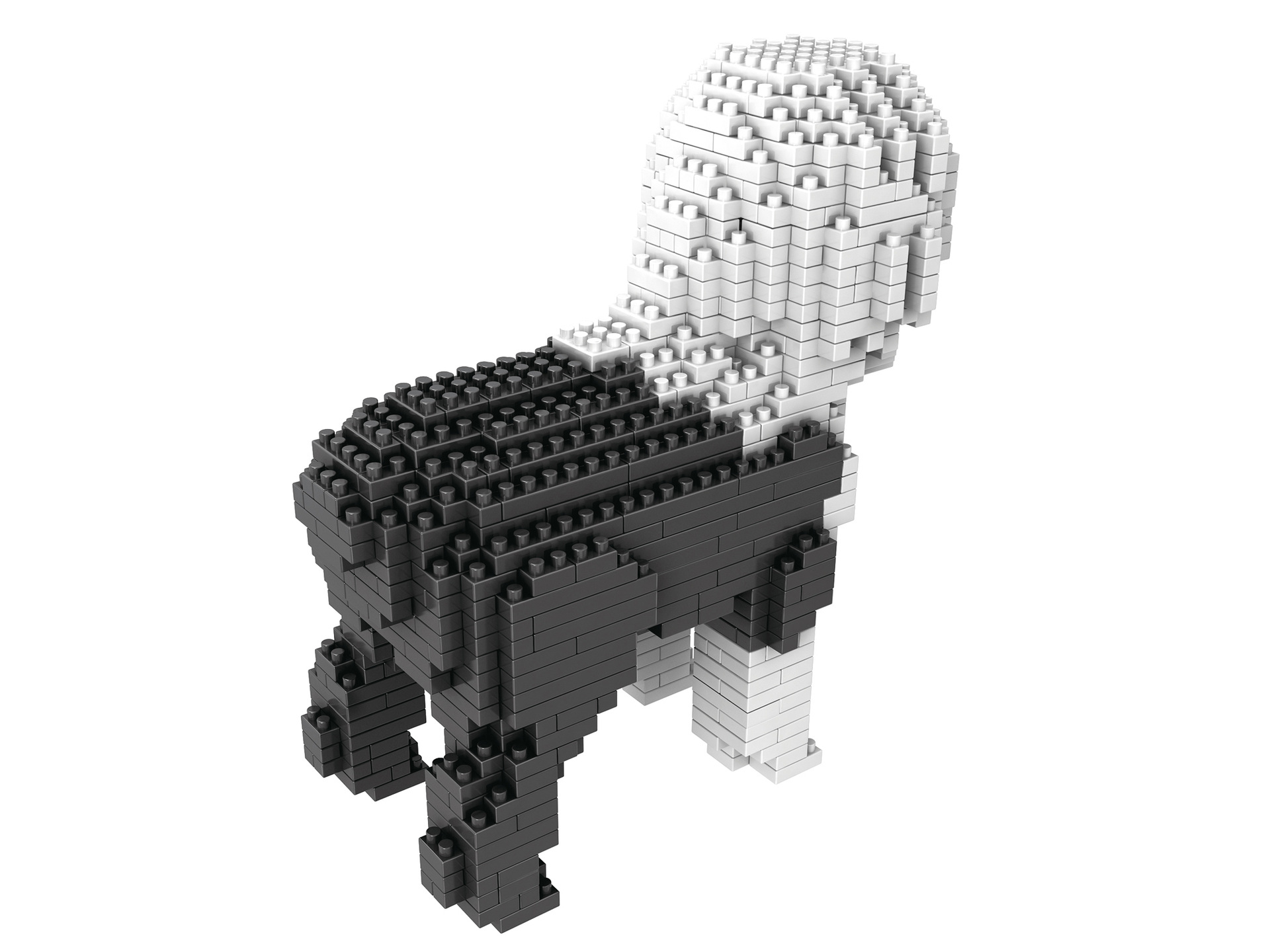 古牧 3 副本 gai 副本.jpg