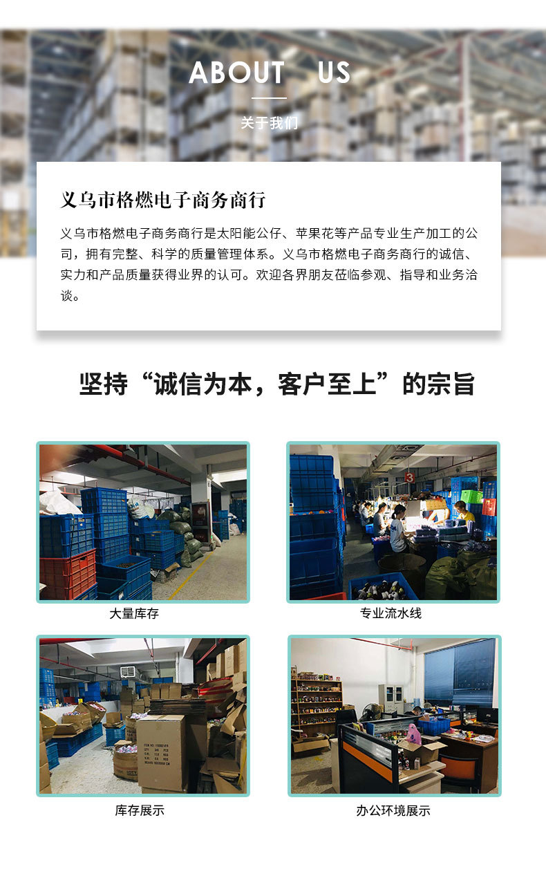 I-_工作_太阳花_13