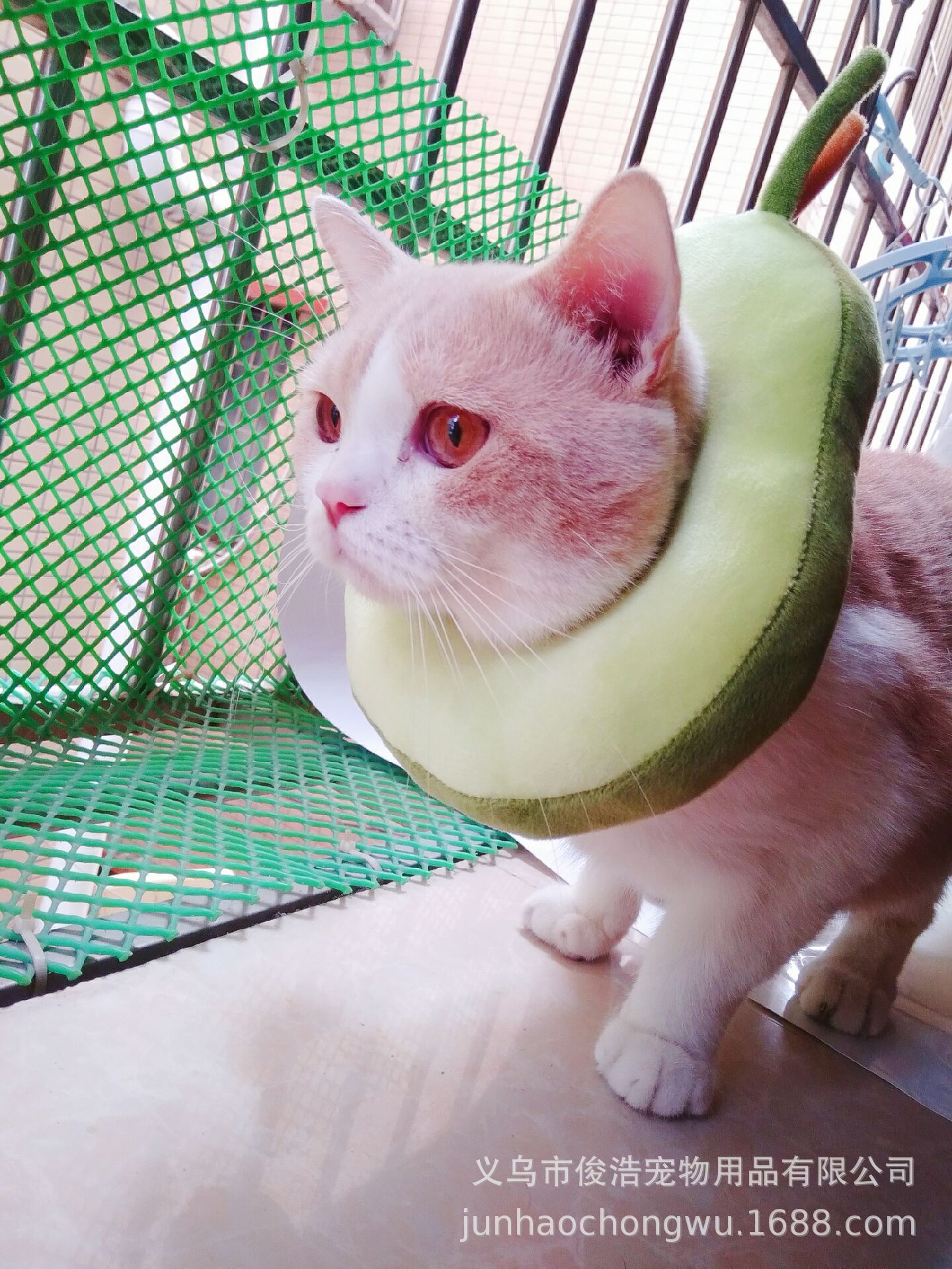 D126B4076D71CA1409FE94A53B745C