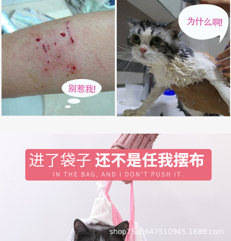 猫洗袋_03.jpg
