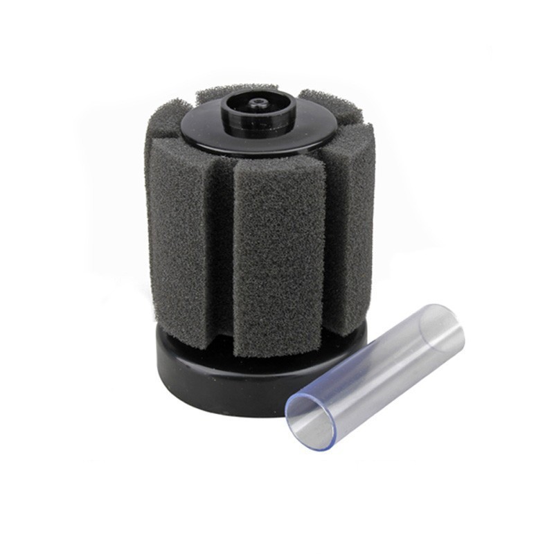 HTB1A2loLpXXXXcpaXXXq6xXFXXXT