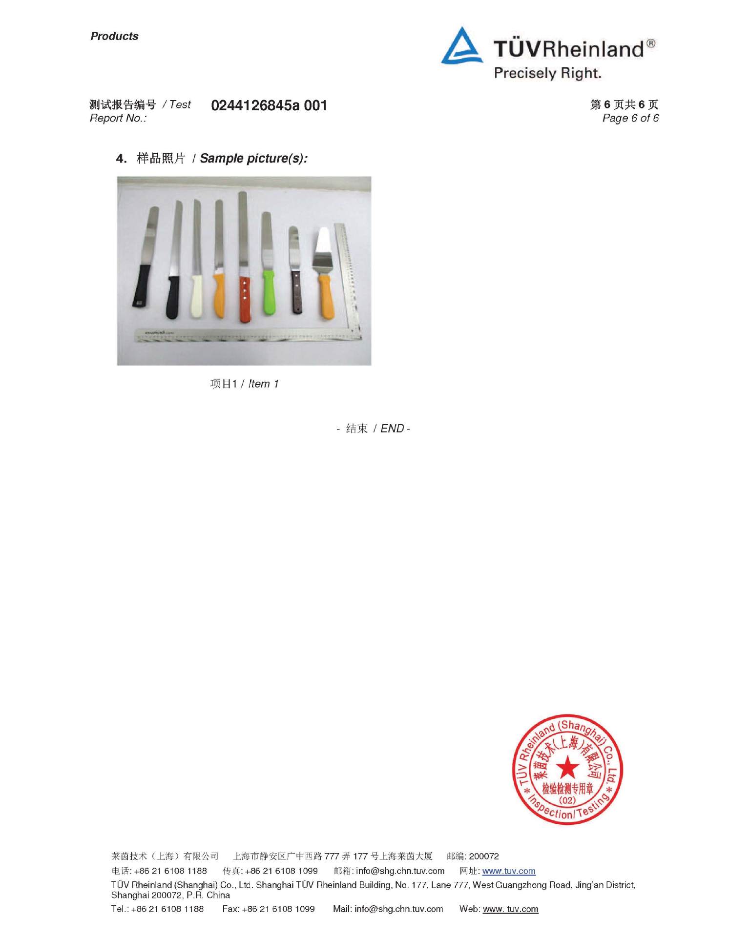 0244126845a 001-s_report_页面_6