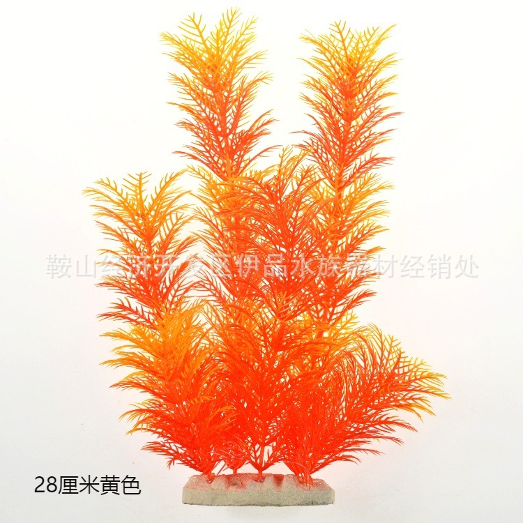 O1CN01wMCPyC1KVtxIqkuwk_!!1035