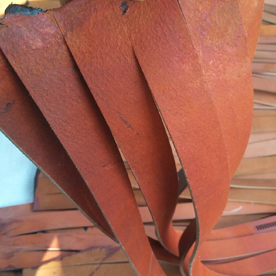 QQ图片20190310213538