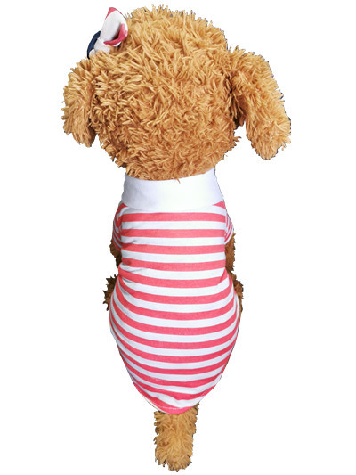 QQ图片20190527151505_副本