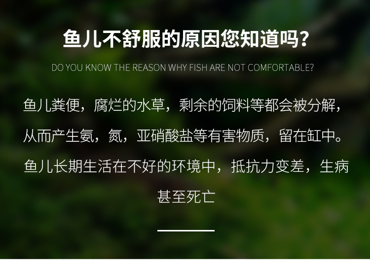 硝化细菌胶囊1_05