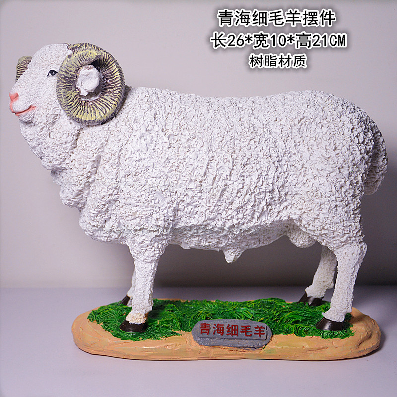 青海细毛羊.jpg