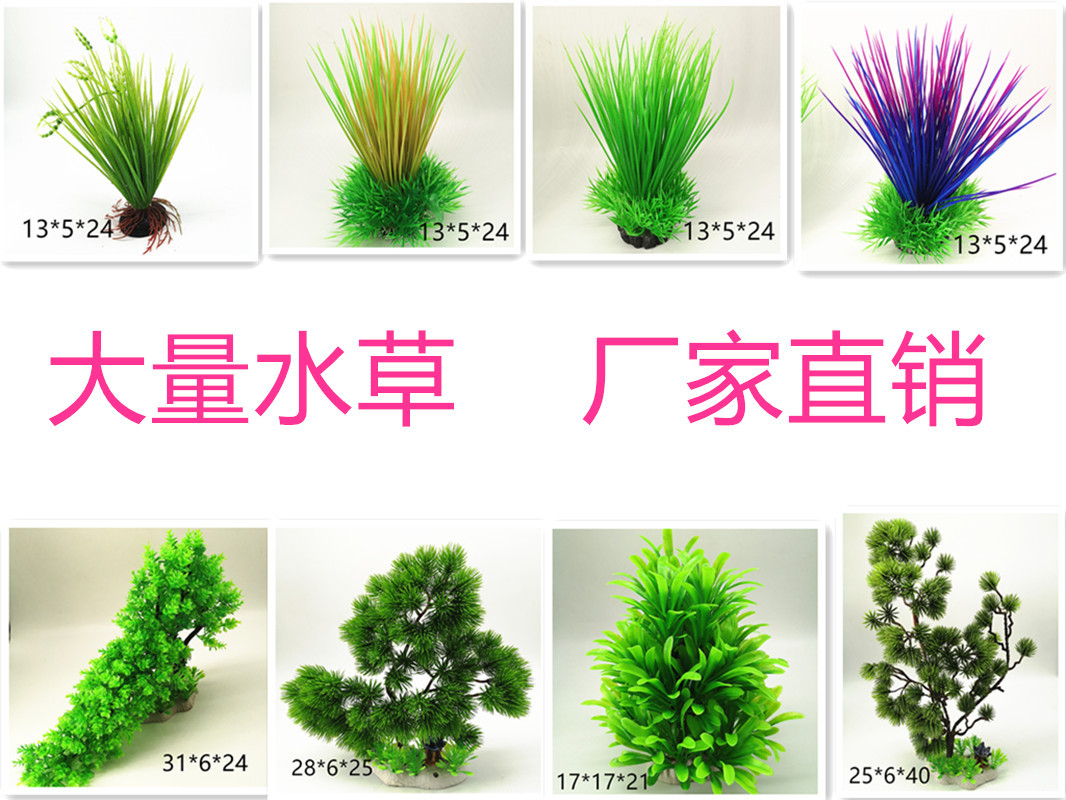 IMG_20190701_204910_副本