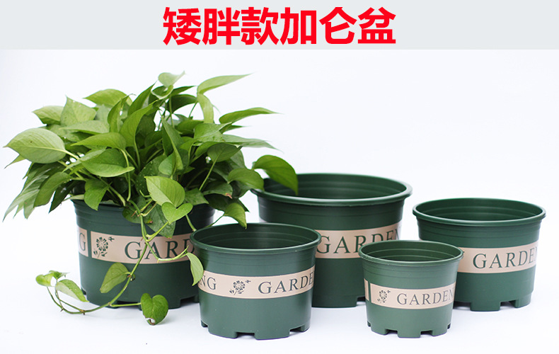 矮胖款加仑盆.jpg