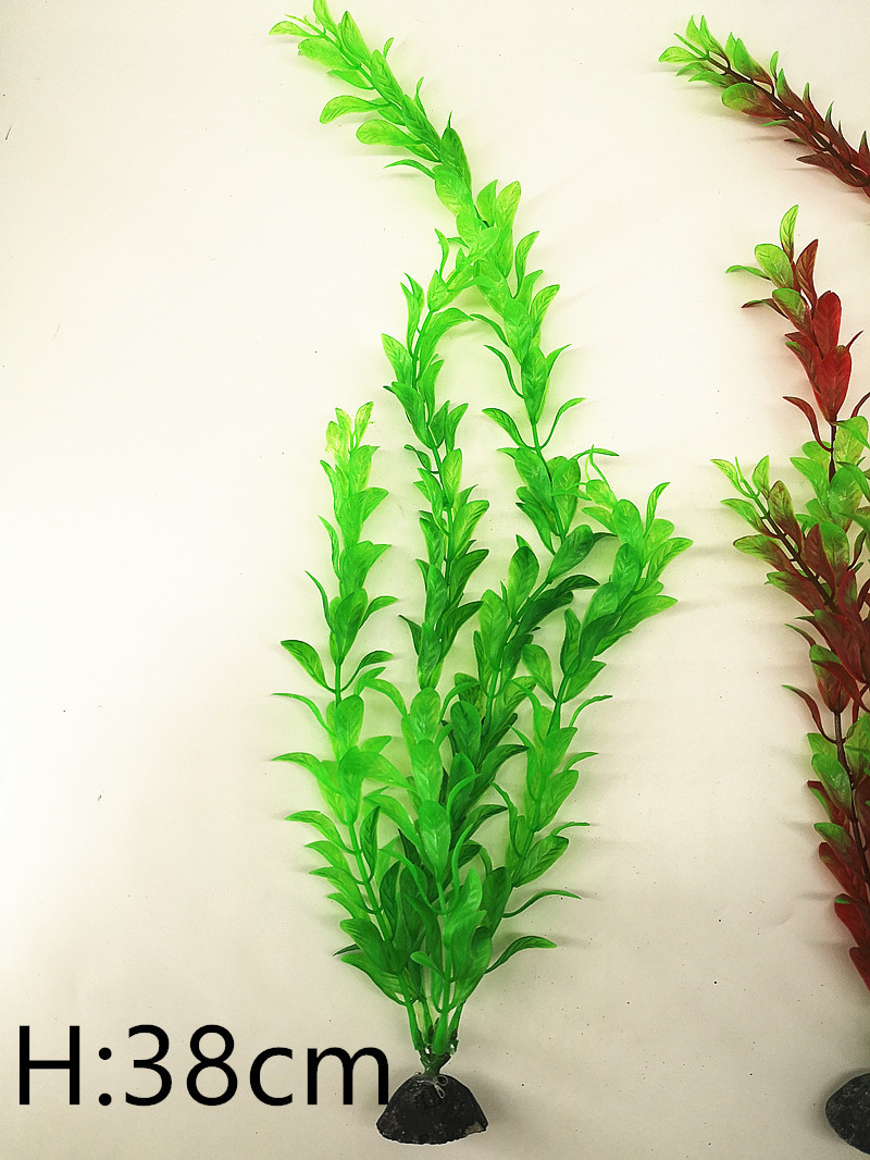 IMG_20190701_103738_副本