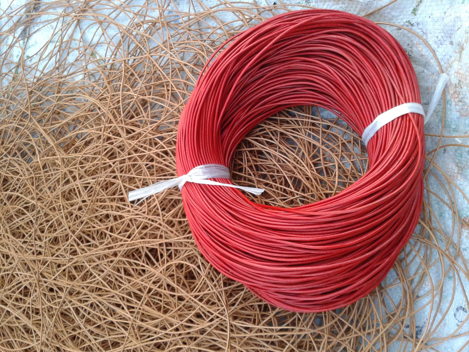 QQ图片20141108194219 - 副本