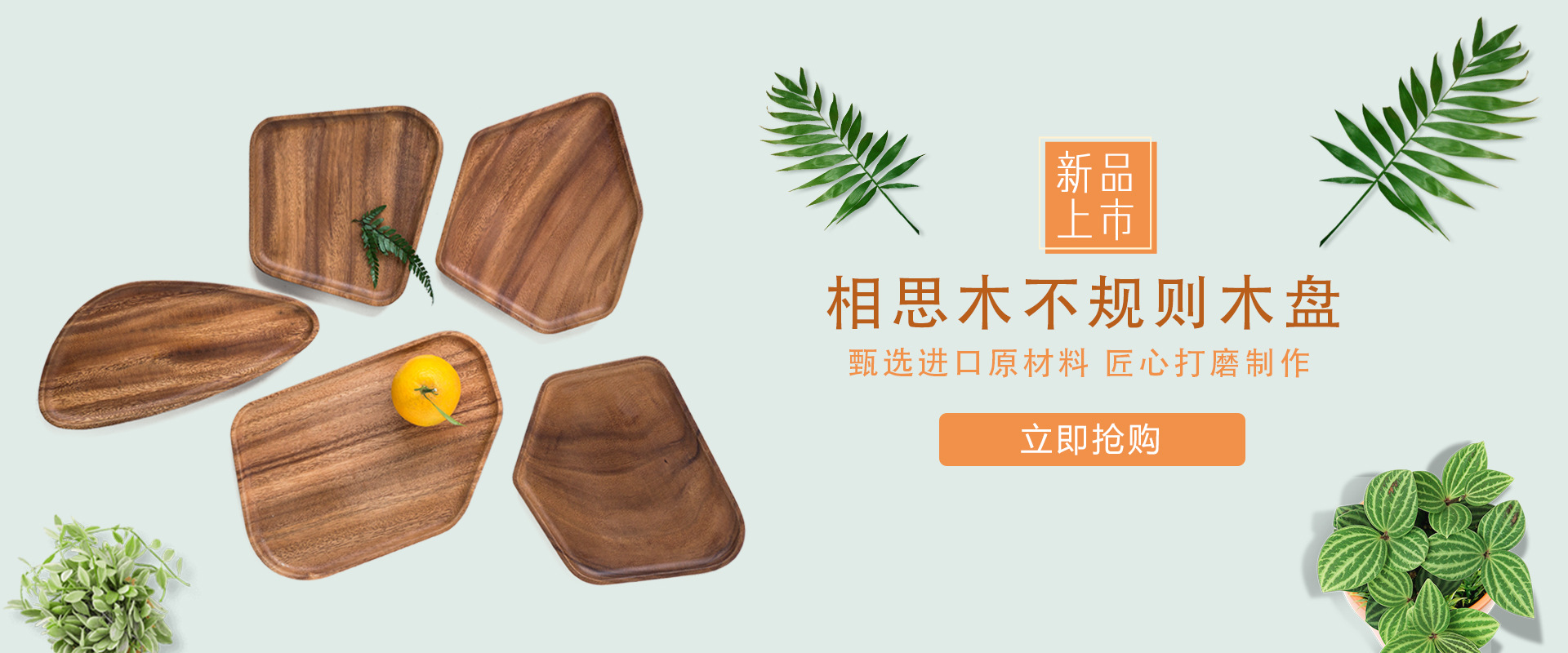 新异形盘活动图