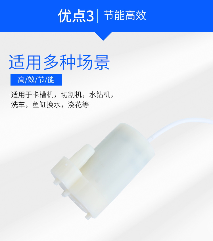 兴嘉榕-2_06.jpg