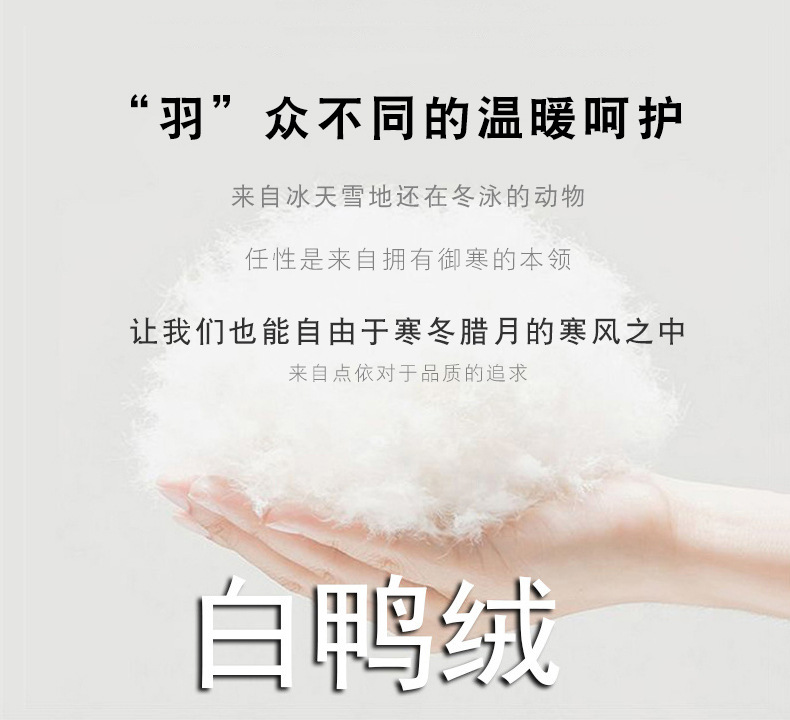 白鸭绒.jpg