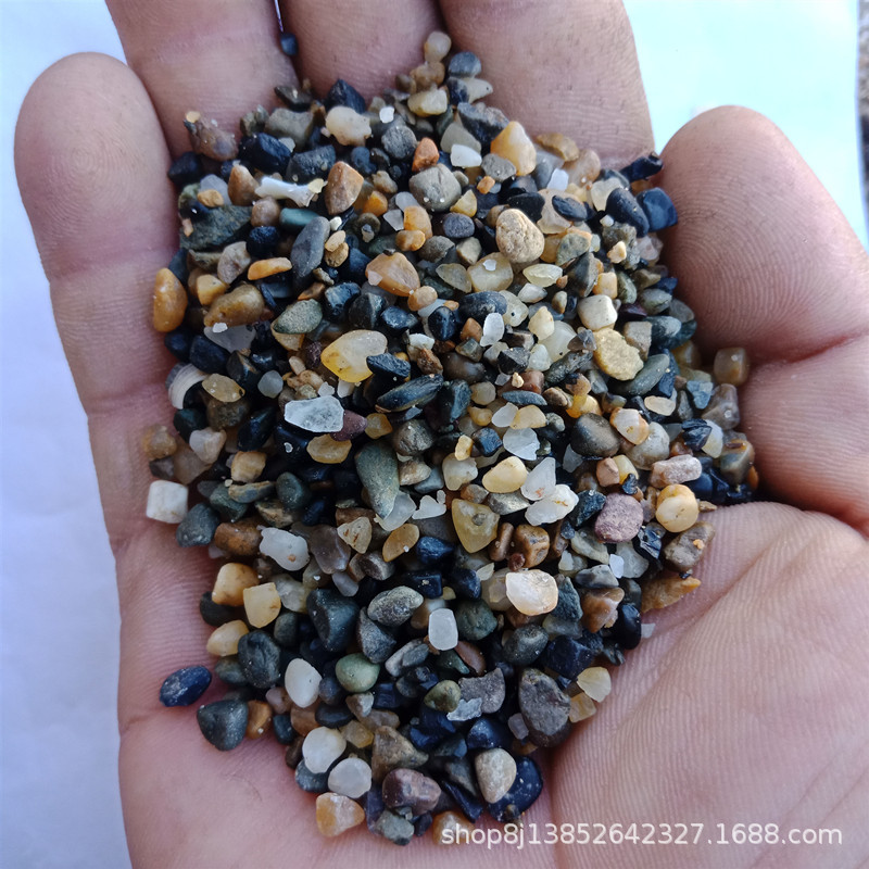 IMG20190306094911.jpg