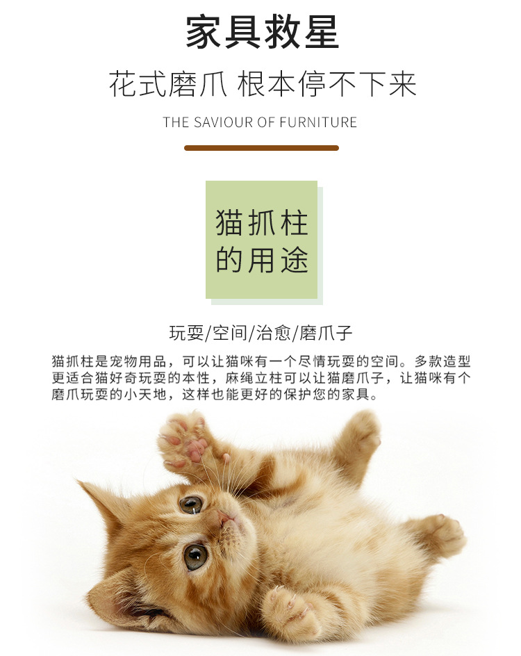 剑麻猫爪球_12.jpg