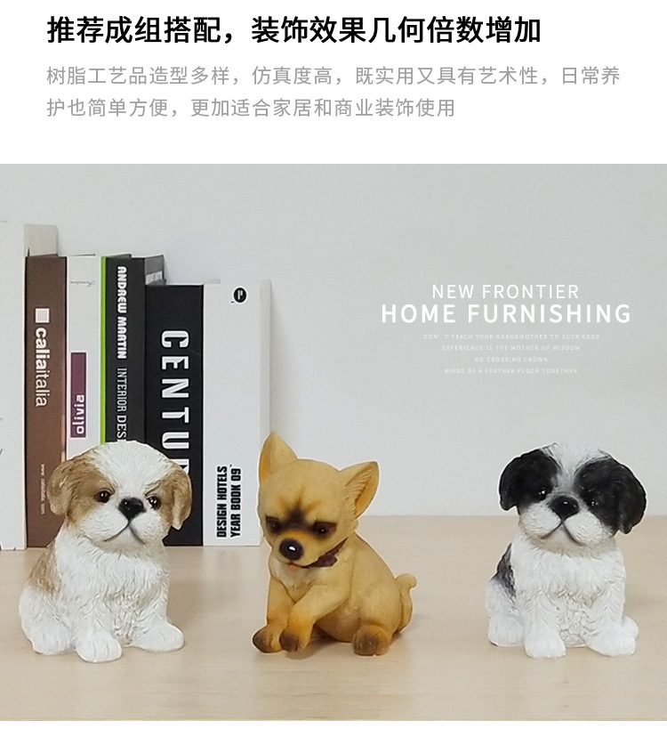 小西施幼犬_09.jpg