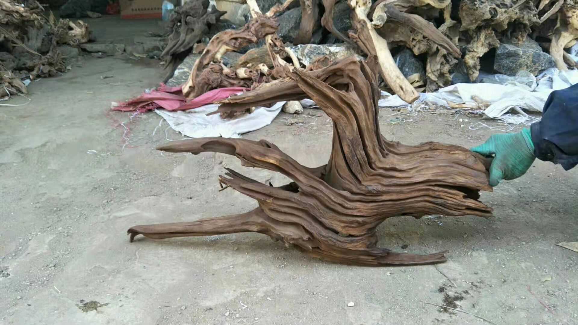 微信图片_20200107203510