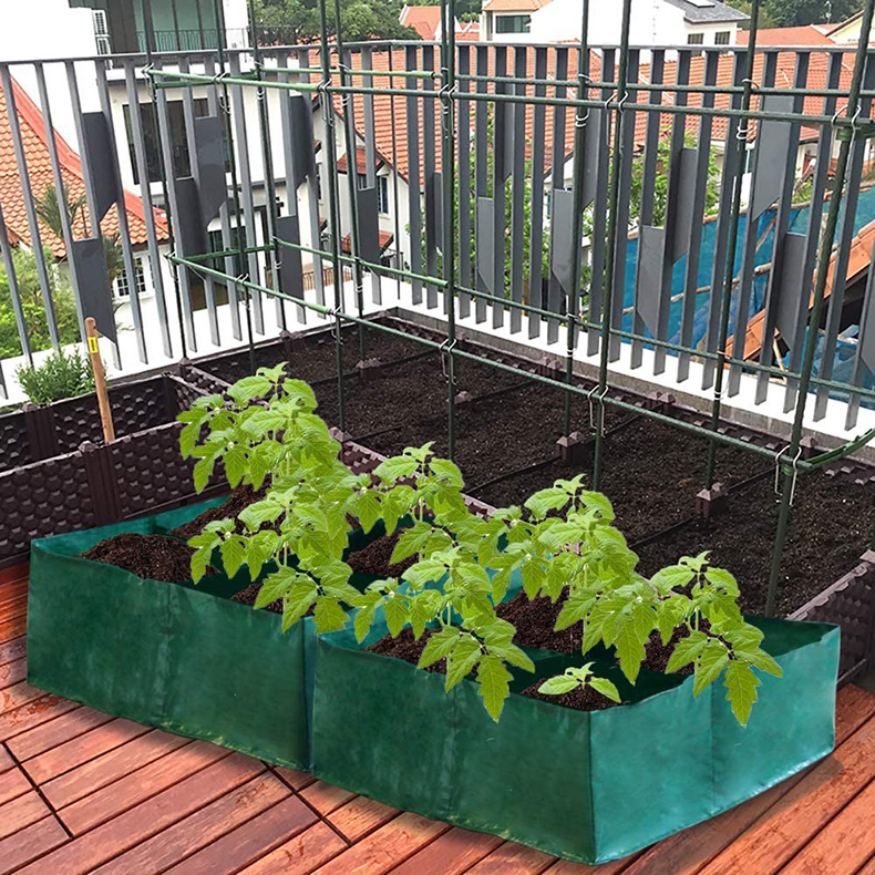 71sQWeGnhLL._AC_SL1000_