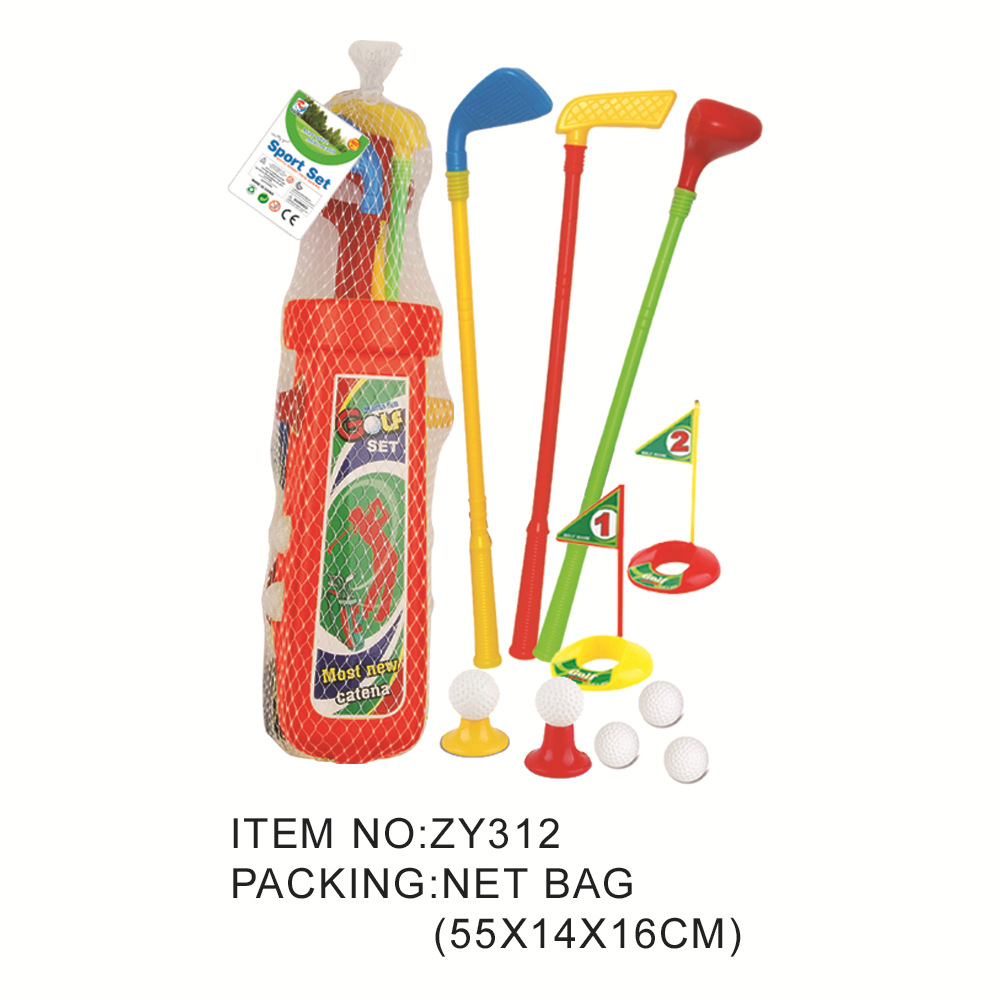ZY312