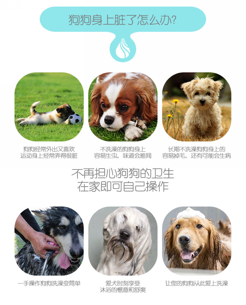 宠物沐浴器主页  (4)