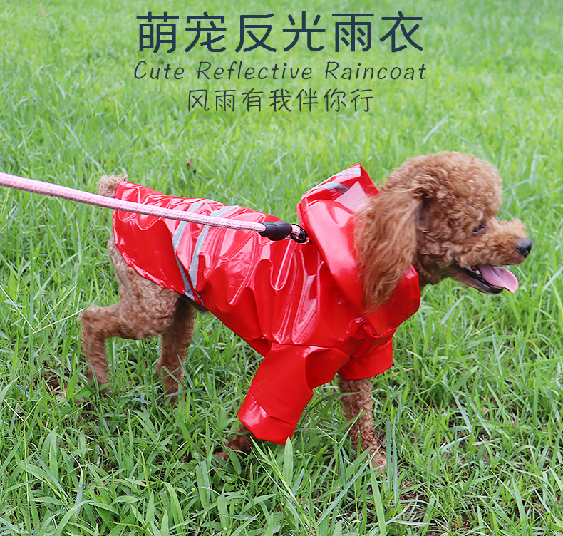 反光雨衣 (1).jpg