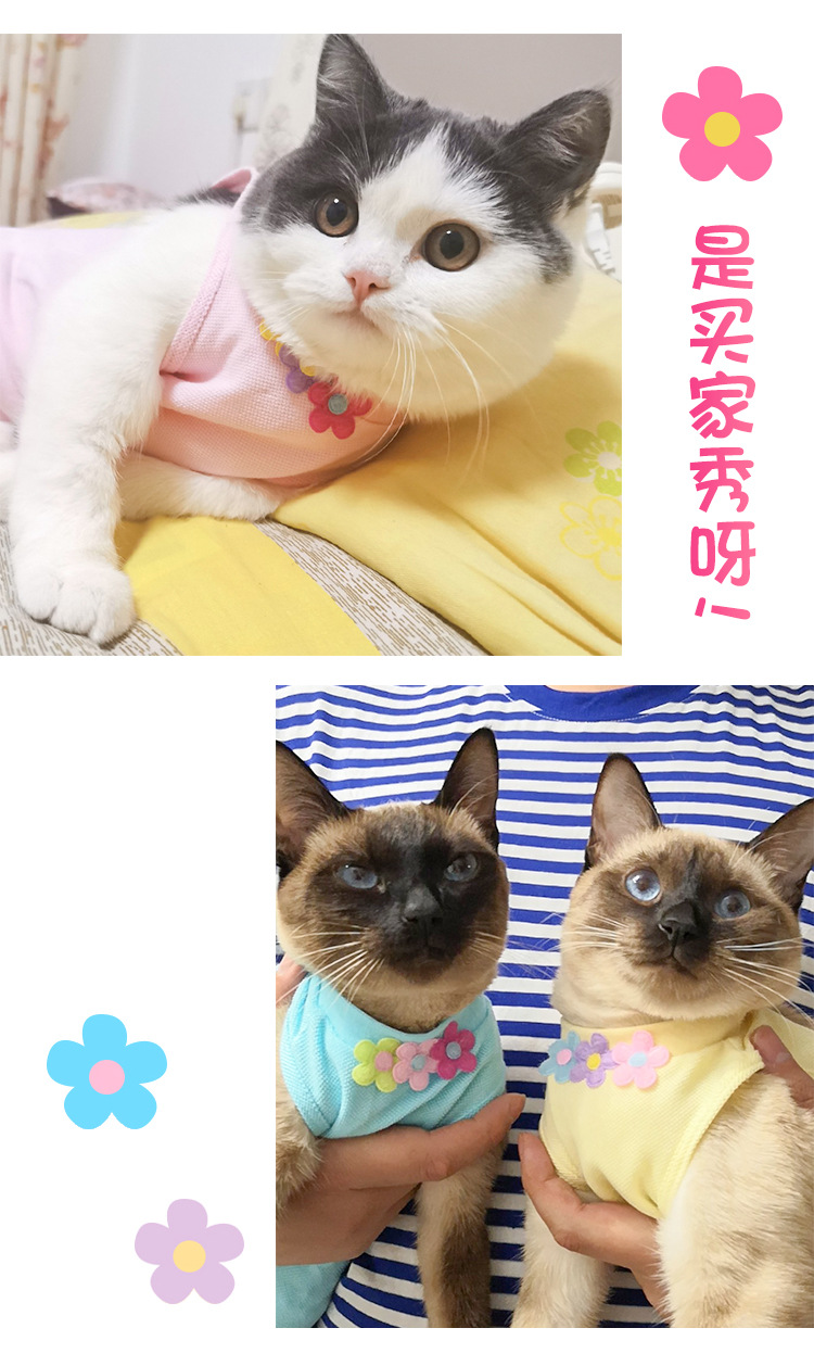 O1CN01NfExtY1PIgduxN55a_!!2774