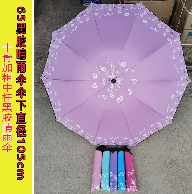 荷叶边海底世界