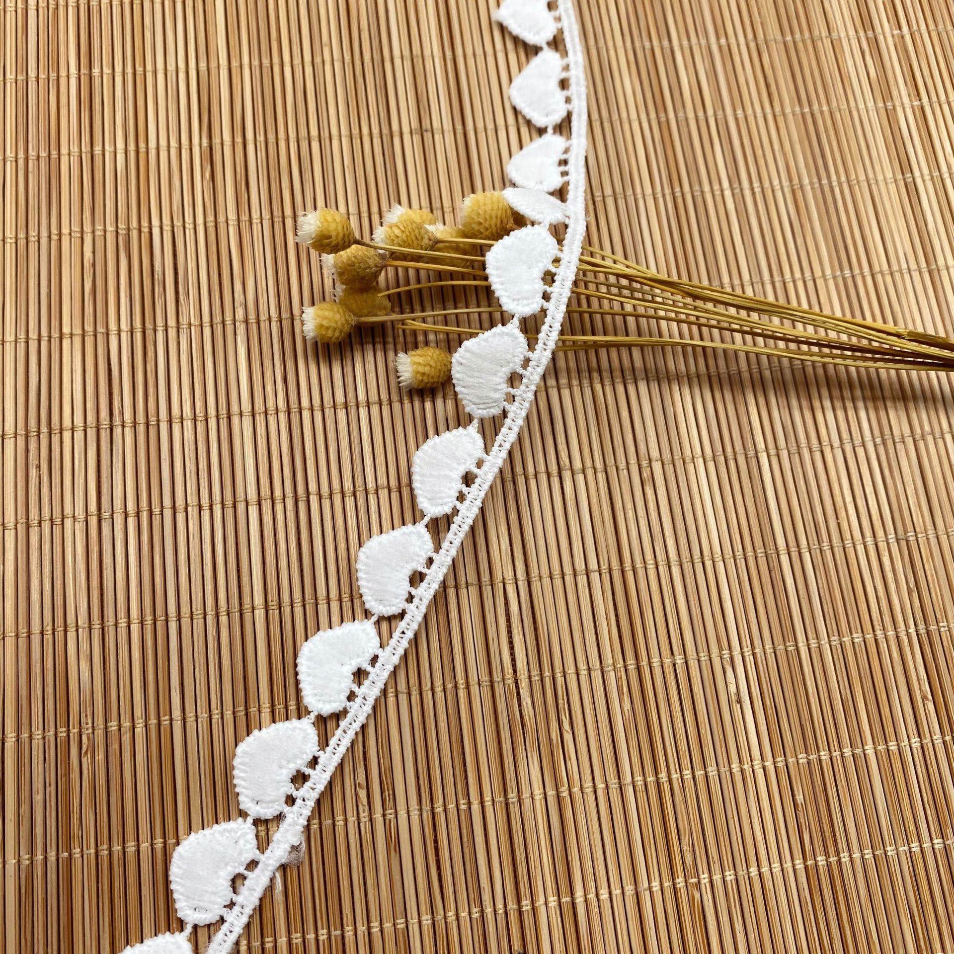 IMG_6559(20200821-182050)