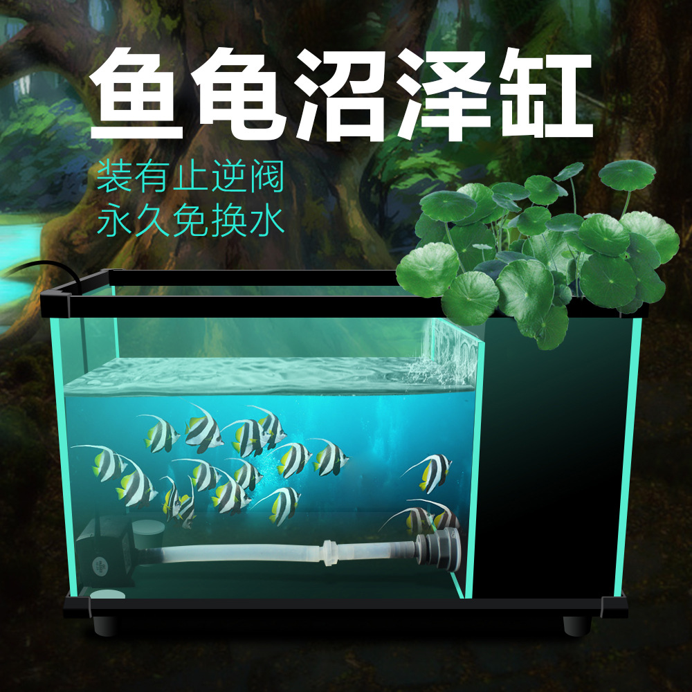 主图